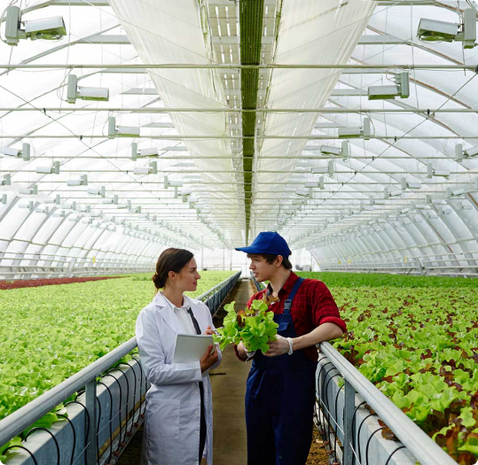 Chính sách bảo mật