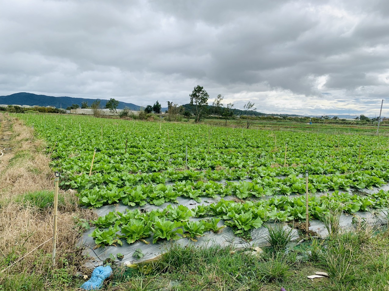 Hình ảnh liên hệ